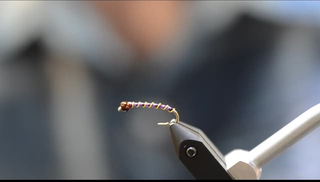 cams fav pyramid lake chironomid