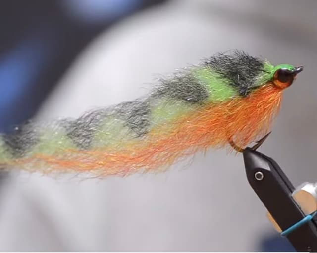 baitfish pattern Cameron cross