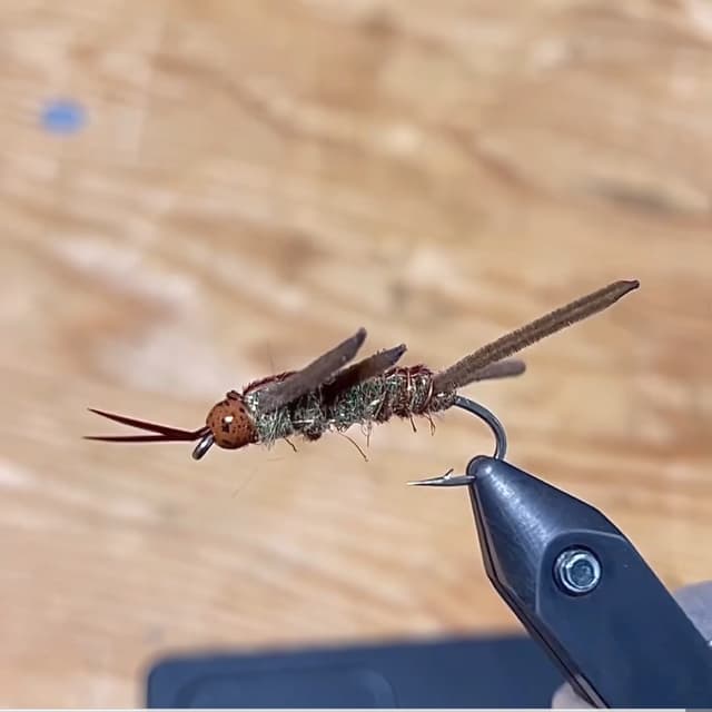 peacock dubbing Stone fly