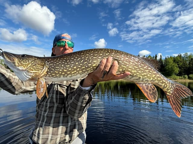 The Foul Hooked Whitey returns with the rant; “Fly Fishing in AK with the Macho Man” Part One…